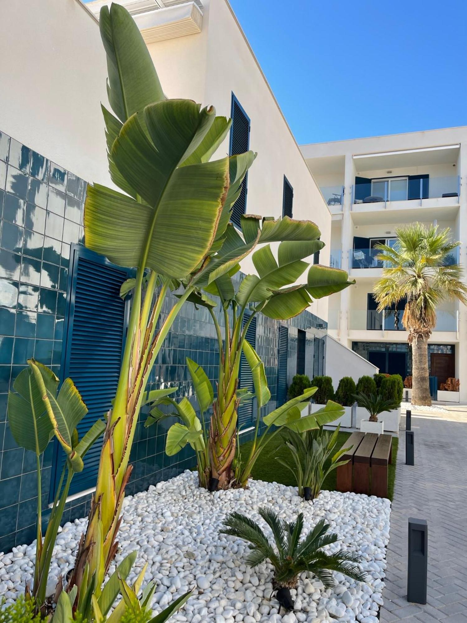Hola Blanca - Sea, Golf, Chill Dehesa de Campoamor (Orihuela Costa) Exterior foto