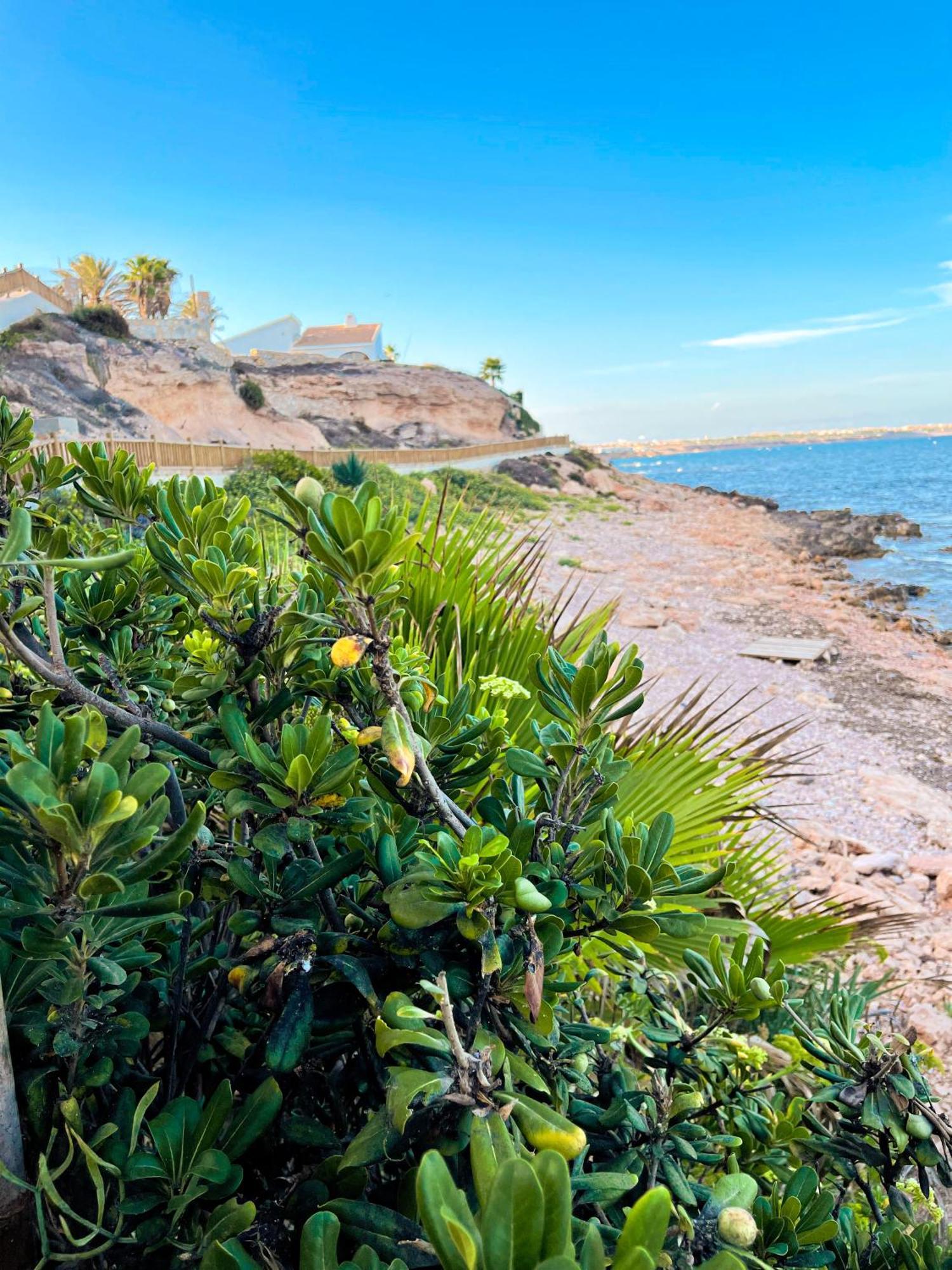 Hola Blanca - Sea, Golf, Chill Dehesa de Campoamor (Orihuela Costa) Exterior foto